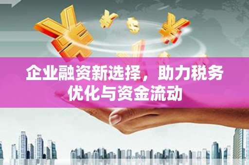 望谟企业融资新选择，助力税务优化与资金流动
