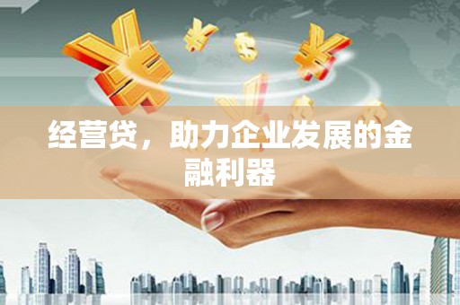 玉树经营贷，助力企业发展的金融利器