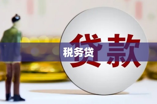 伍家岗税务贷
