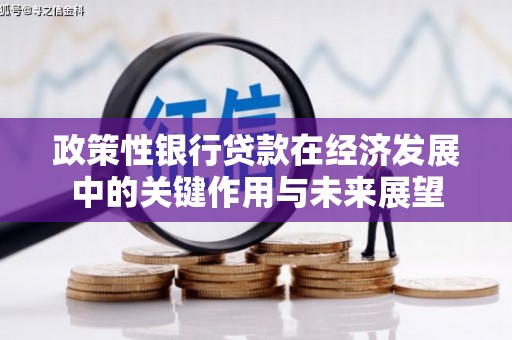 沙鹿政策性银行贷款在经济发展中的关键作用与未来展望