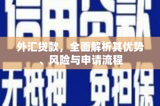 广东外汇贷款，全面解析其优势、风险与申请流程
