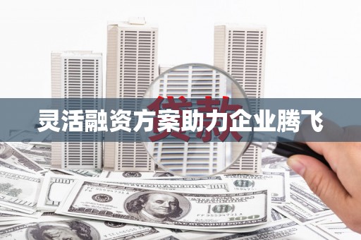 思南灵活融资方案助力企业腾飞