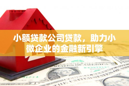 永寿小额贷款公司贷款，助力小微企业的金融新引擎
