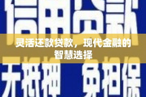 安阳灵活还款贷款，现代金融的智慧选择
