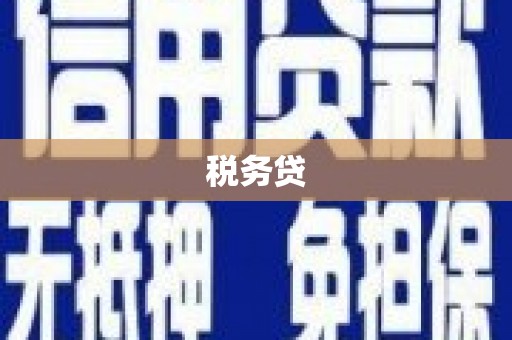 察雅税务贷