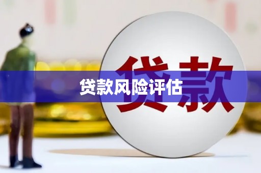 新会贷款风险评估