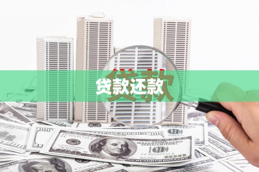 茂林贷款还款