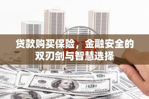 张家港贷款购买保险，金融安全的双刃剑与智慧选择