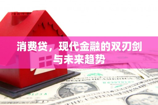 丰县消费贷，现代金融的双刃剑与未来趋势