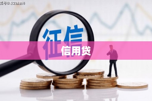 新营信用贷