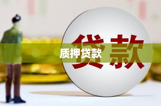 美姑质押贷款