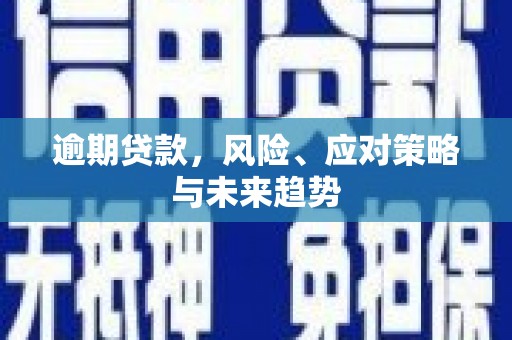 焦作逾期贷款，风险、应对策略与未来趋势