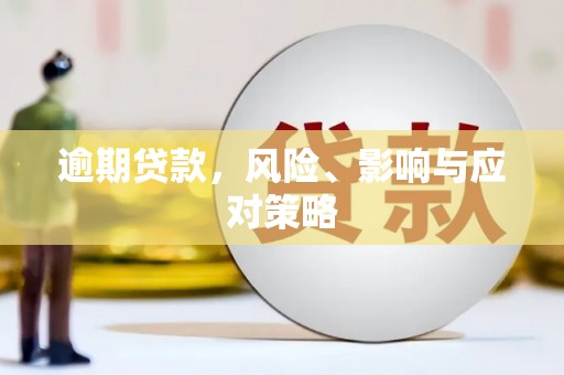 邓州逾期贷款，风险、影响与应对策略