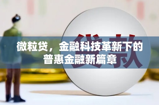 宛城微粒贷，金融科技革新下的普惠金融新篇章
