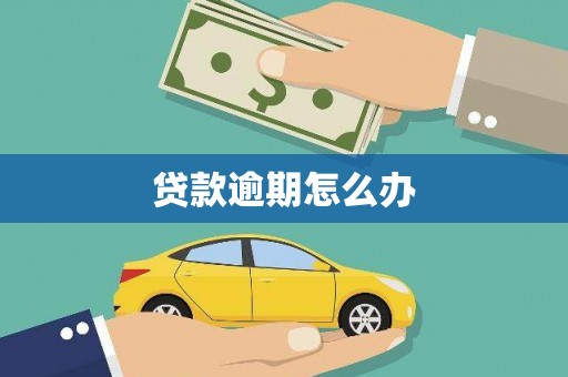 会理贷款逾期怎么办
