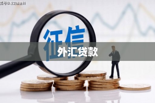 任丘外汇贷款