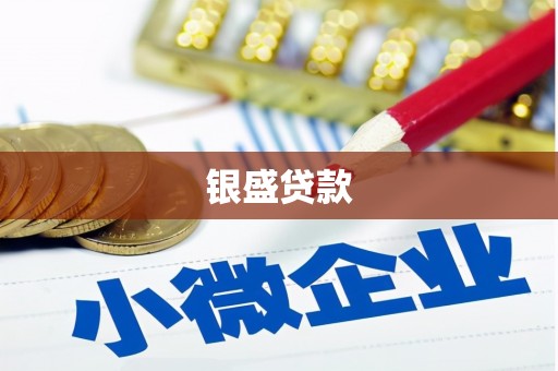 祁门银盛贷款
