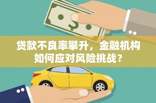 岳阳贷款不良率攀升，金融机构如何应对风险挑战？