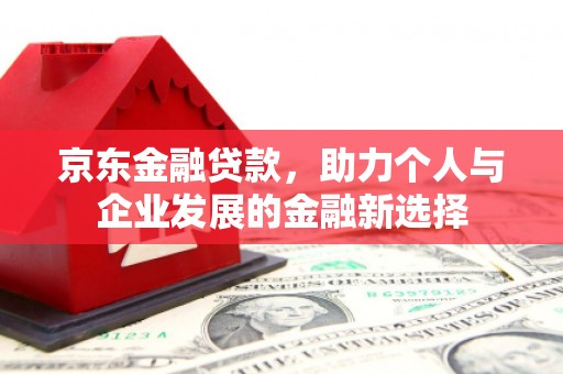 延津京东金融贷款，助力个人与企业发展的金融新选择