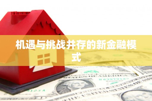 保德机遇与挑战并存的新金融模式