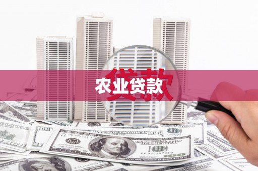 江岸农业贷款