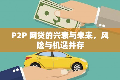 平顶山P2P 网贷的兴衰与未来，风险与机遇并存