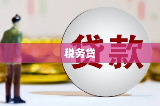 清远税务贷