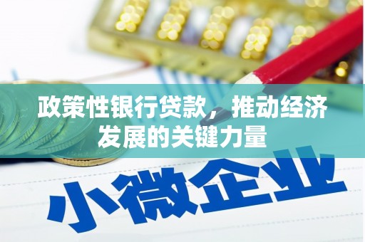麒麟政策性银行贷款，推动经济发展的关键力量