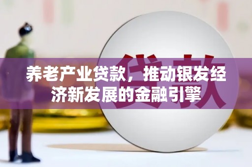 嵩县养老产业贷款，推动银发经济新发展的金融引擎