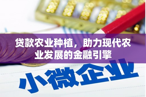 云霄贷款农业种植，助力现代农业发展的金融引擎
