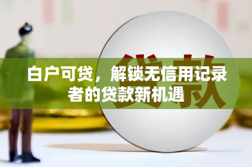 寿丰白户可贷，解锁无信用记录者的贷款新机遇