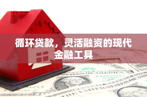 淄川循环贷款，灵活融资的现代金融工具