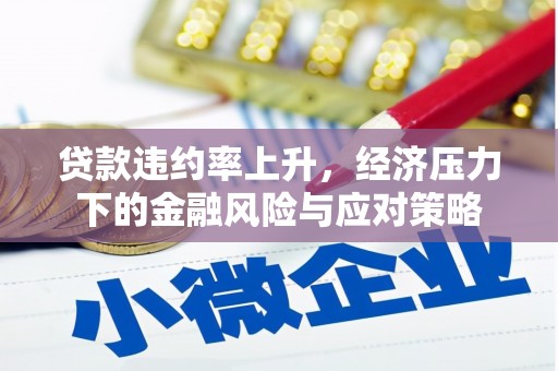盐津贷款违约率上升，经济压力下的金融风险与应对策略
