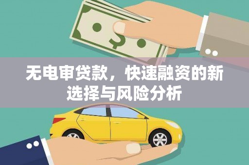 武鸣无电审贷款，快速融资的新选择与风险分析