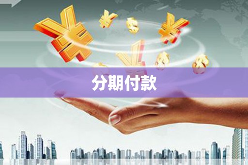 昭平分期付款