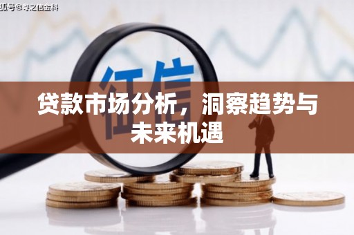 思南贷款市场分析，洞察趋势与未来机遇
