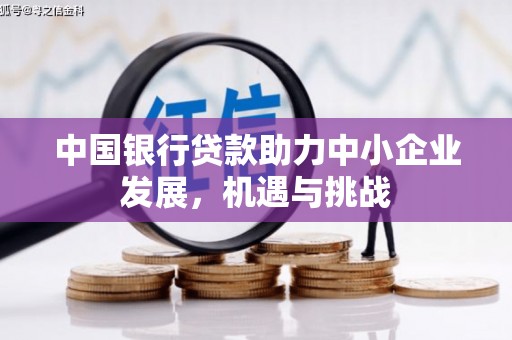遂溪中国银行贷款助力中小企业发展，机遇与挑战