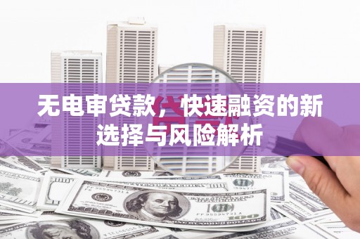 盐池无电审贷款，快速融资的新选择与风险解析