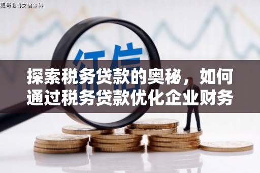 雾峰探索税务贷款的奥秘，如何通过税务贷款优化企业财务