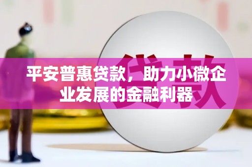 风顺堂区平安普惠贷款，助力小微企业发展的金融利器