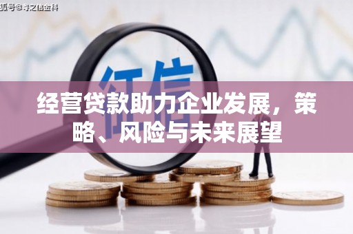 海东经营贷款助力企业发展，策略、风险与未来展望