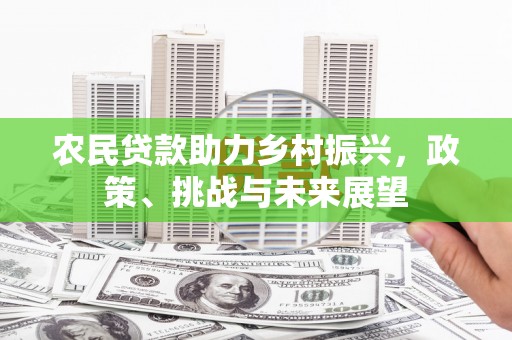 阿莲农民贷款助力乡村振兴，政策、挑战与未来展望