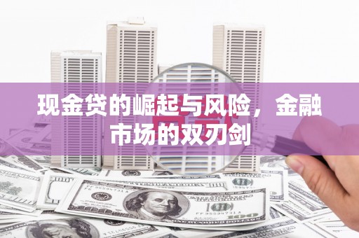 丰宁现金贷的崛起与风险，金融市场的双刃剑