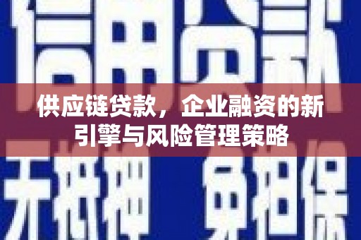 尼玛供应链贷款，企业融资的新引擎与风险管理策略