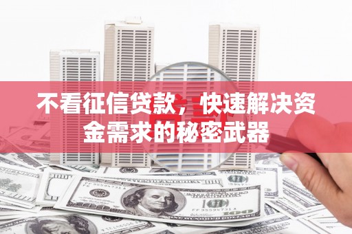 道里不看征信贷款，快速解决资金需求的秘密武器