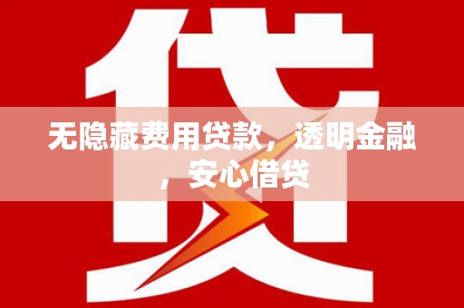 儋州无隐藏费用贷款，透明金融，安心借贷