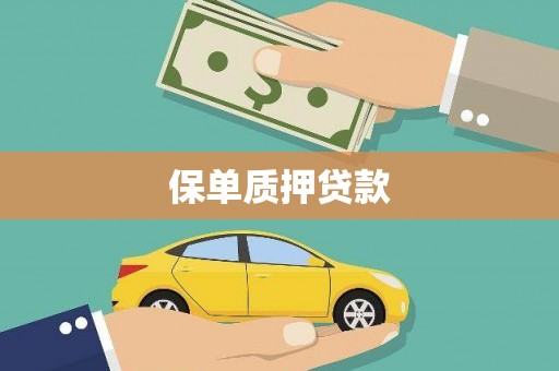 广元保单质押贷款