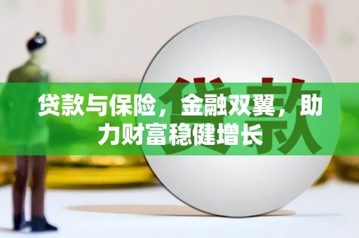 芦洲贷款与保险，金融双翼，助力财富稳健增长