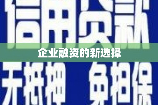 团风企业融资的新选择