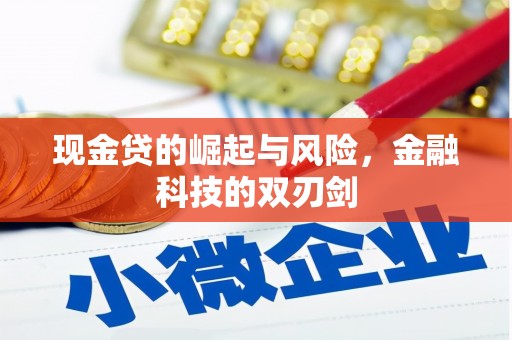 托克逊现金贷的崛起与风险，金融科技的双刃剑